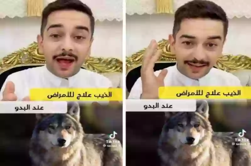 شاهد بالفيديو البدو في السعودية يصطادون الذئاب لشرب دمها لسبب غريب 