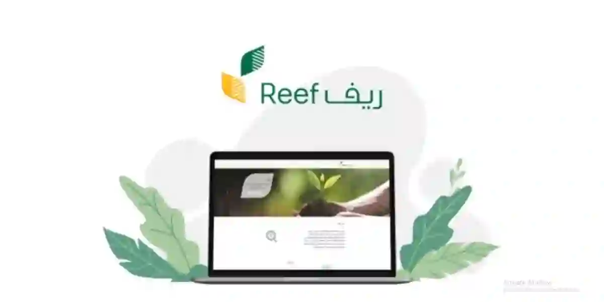 متى ينزل دعم ريف بعد قبول الطلب 1445