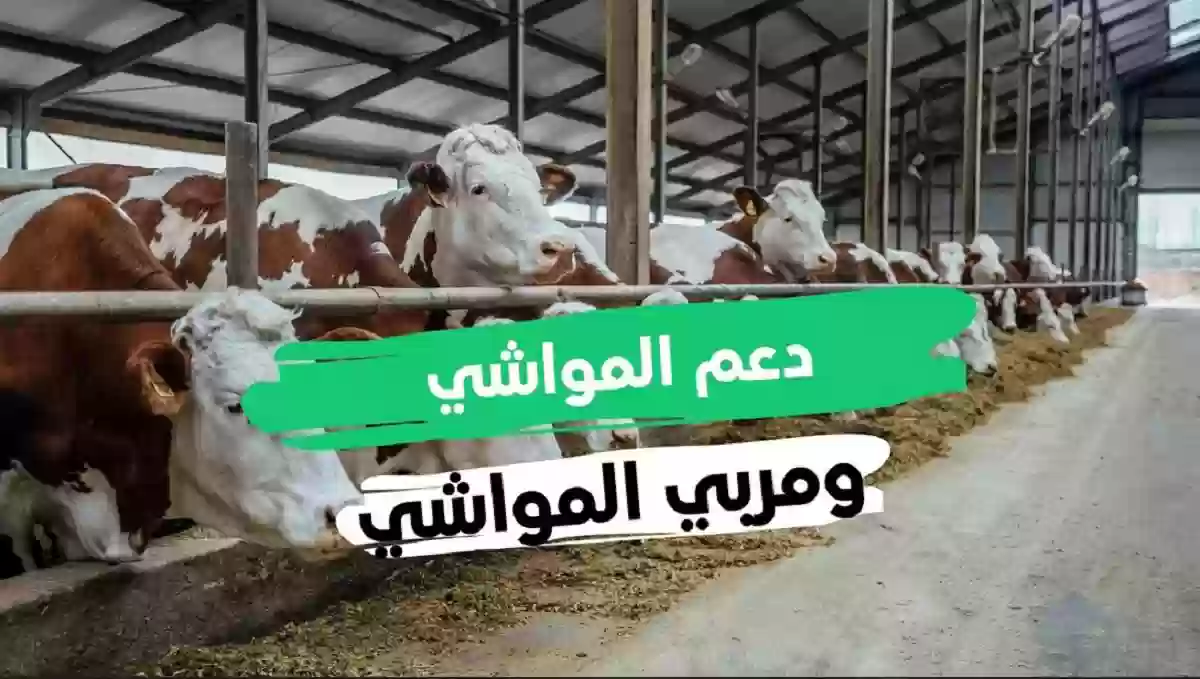 رابط الاستعلام عن دعم المواشي برقم الهوية 1445 وشروط التسجيل