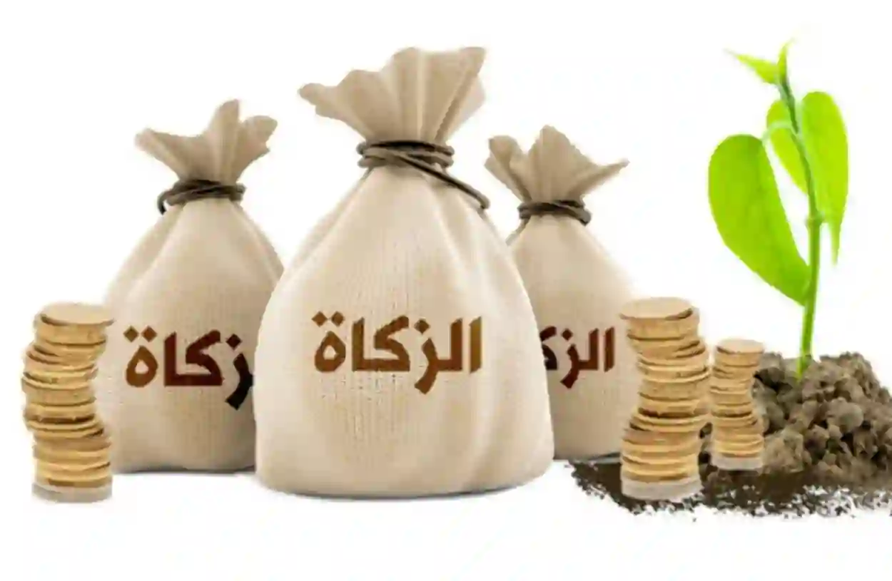 كم زكاة الفرد في رمضان 2024 في السعودية؟