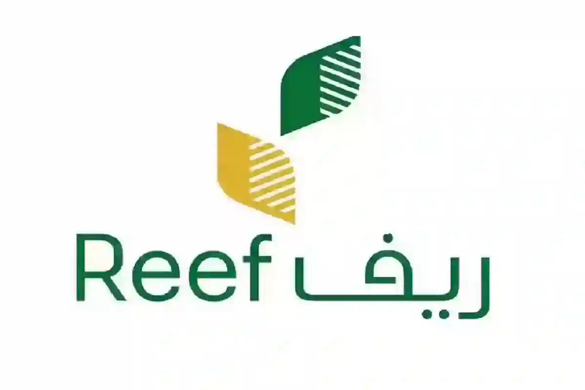  تسجيل الدخول reef.gov.sa لكافة الفئات