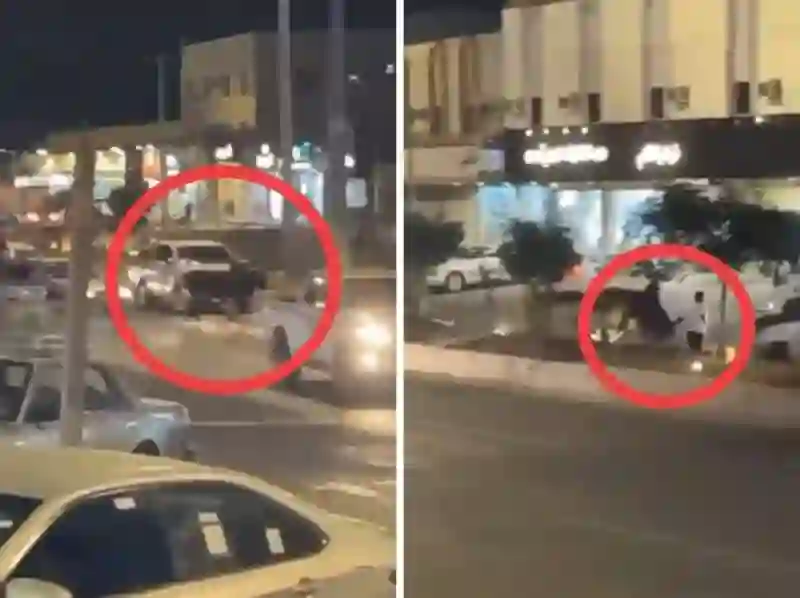 الفيديو الكامل لثور عسير الهائج في أهم شوارع المدينة 