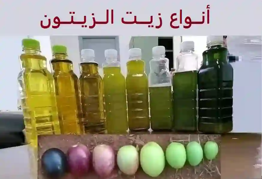 انواع زيت الزيتون 