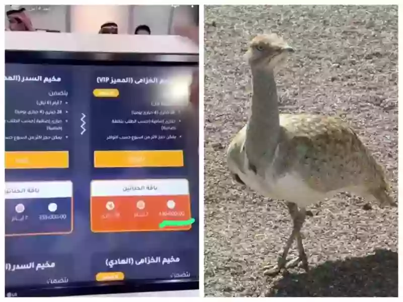 محمية الشمال 