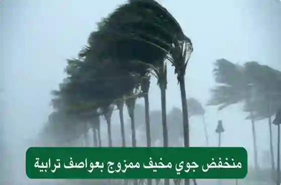 الارصاد السعودية تحذر من عواصف وأمطار تقترب بقوة من سواحل المملكة