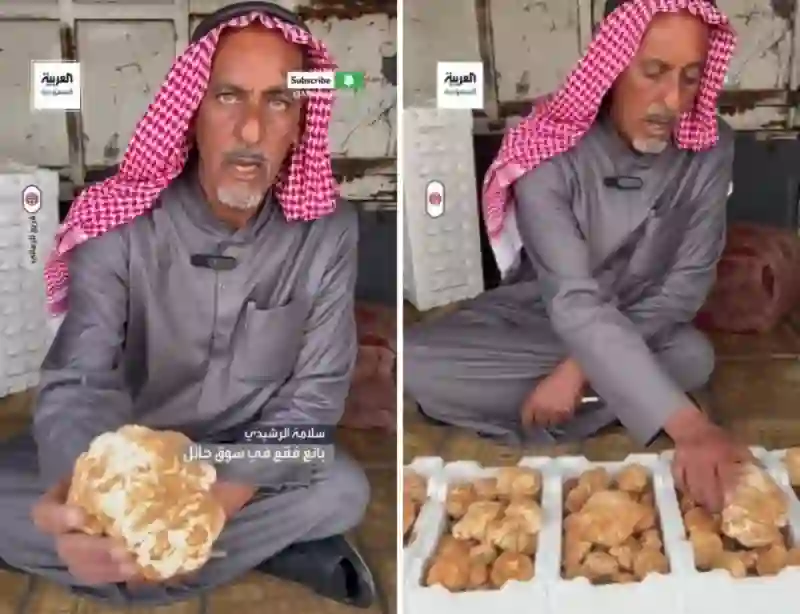 بداية بيع الفقع الزبيدي والكشف عن سعره